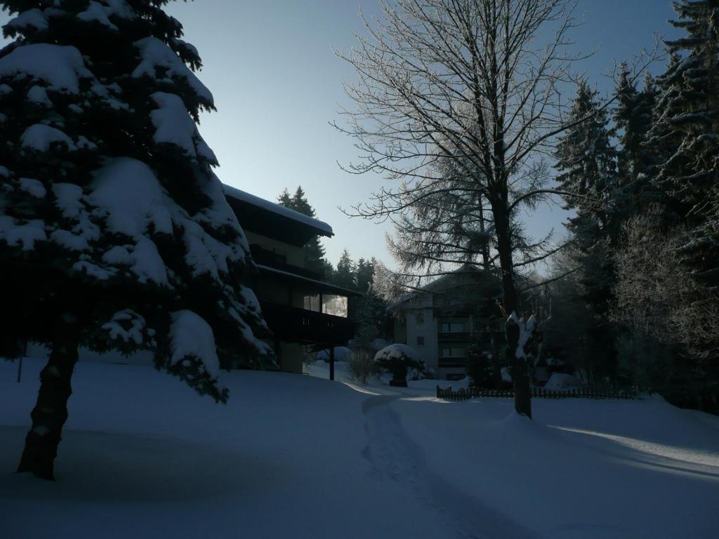 Landhaus Am Forst 바트알렉산더스바트 외부 사진